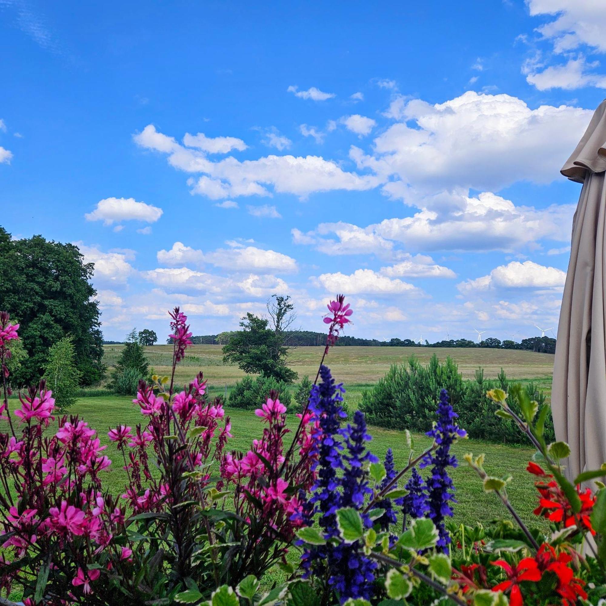 Landgut Voigtsmuehle Hotel Friedland  Екстериор снимка
