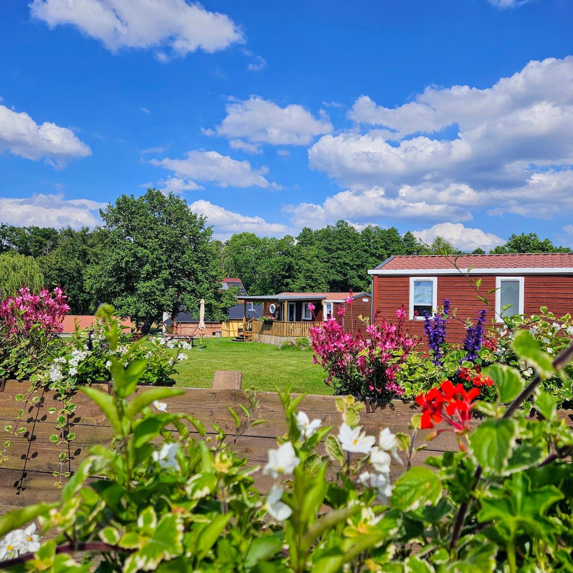Landgut Voigtsmuehle Hotel Friedland  Екстериор снимка