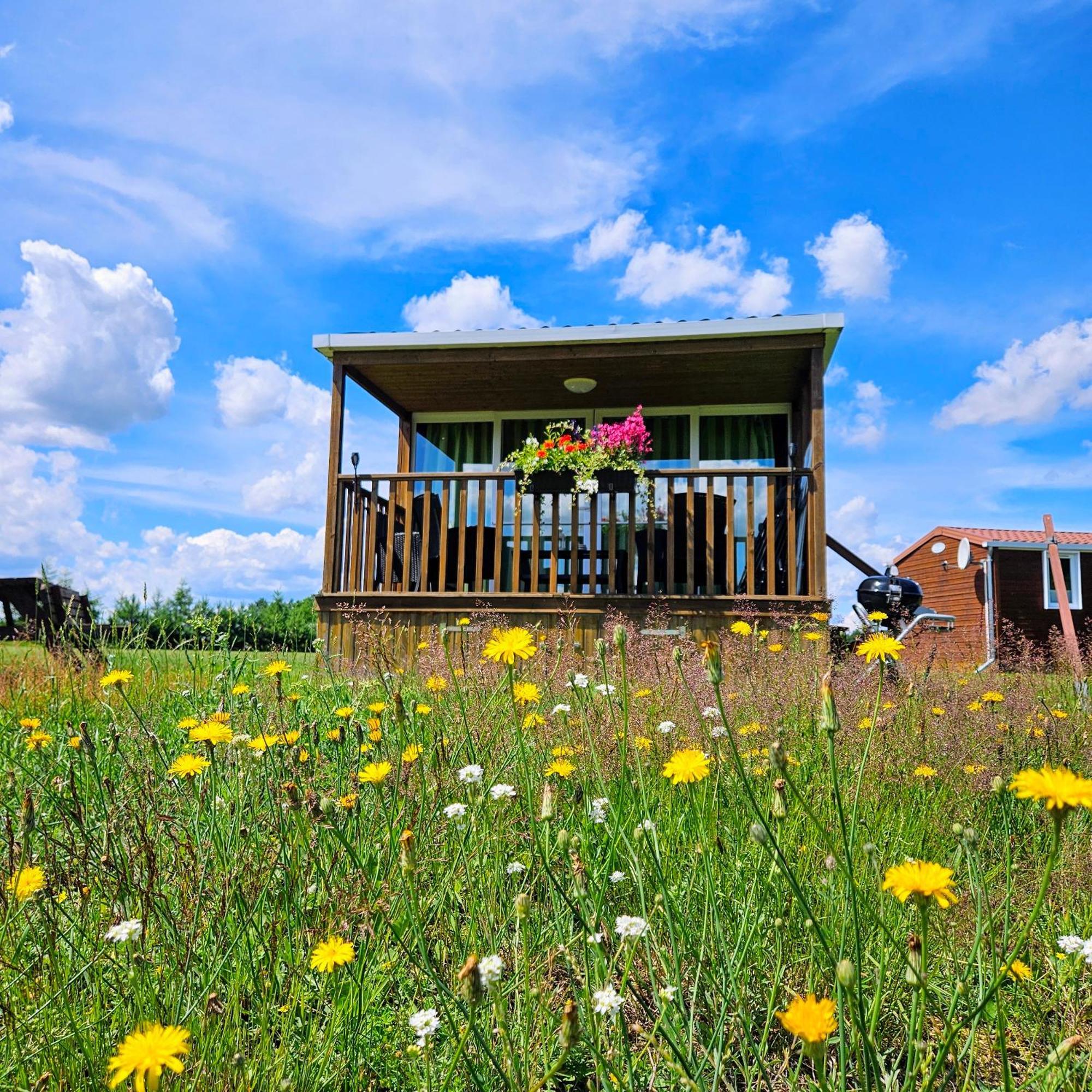 Landgut Voigtsmuehle Hotel Friedland  Екстериор снимка
